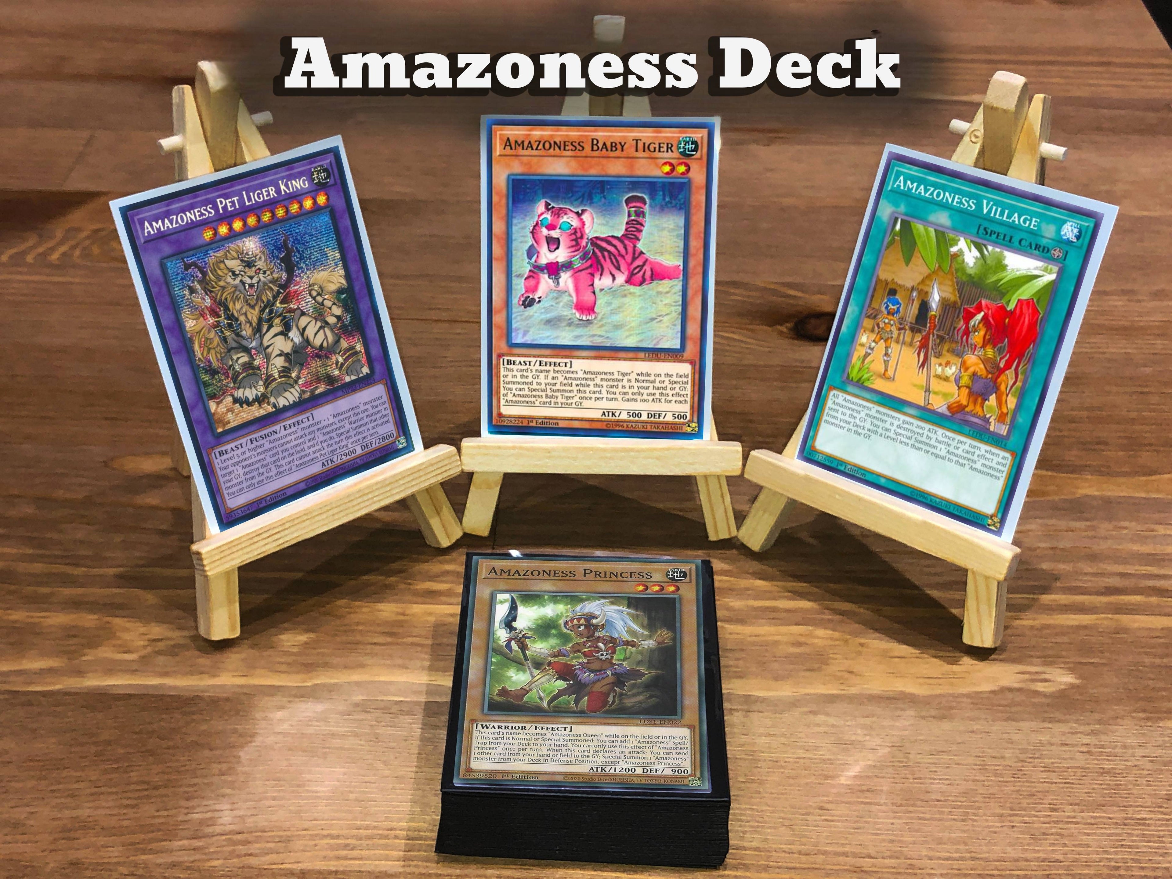 Yugioh Amazoness Deck - 40 Cards + Extra Deck + Sleeves