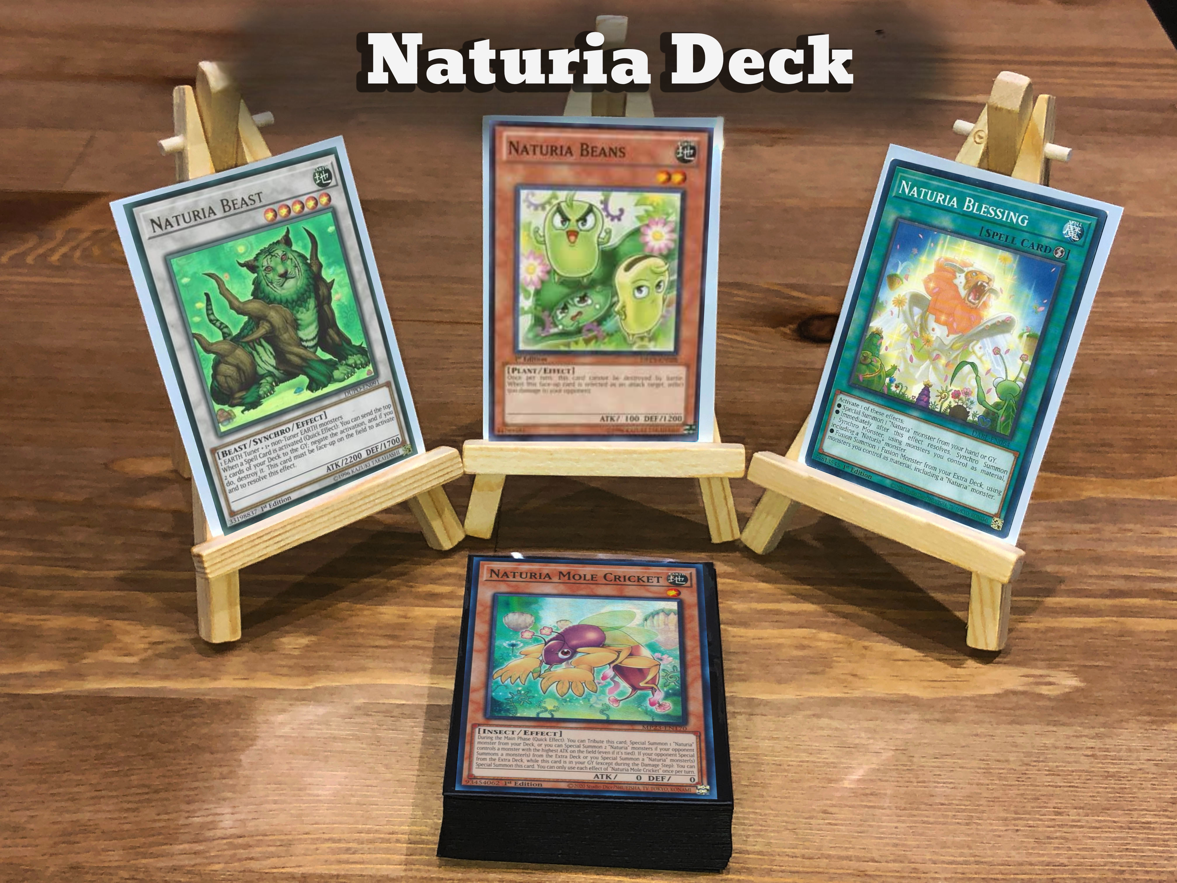 Yugioh Naturia Deck 40 Cards + Extra Deck + Sleeves